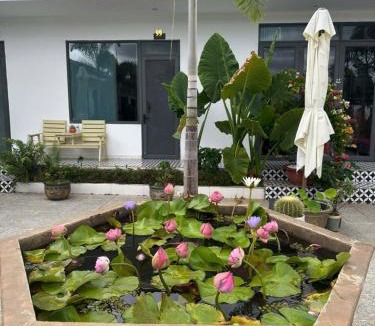 Lam Ha Bed & Breakfast | Mai Anh Đào Hotel