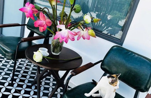 Lam Ha Bed & Breakfast | Mai Anh Đào Hotel