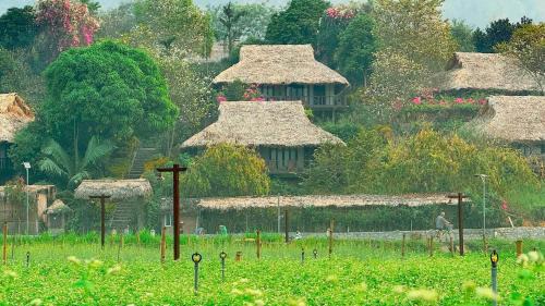 Mai Chau Hotel | Mai Chau Ecolodge
