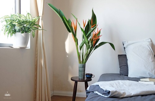 Hanoi Apartment | Maiis Hanoi, surrounded by green and river views