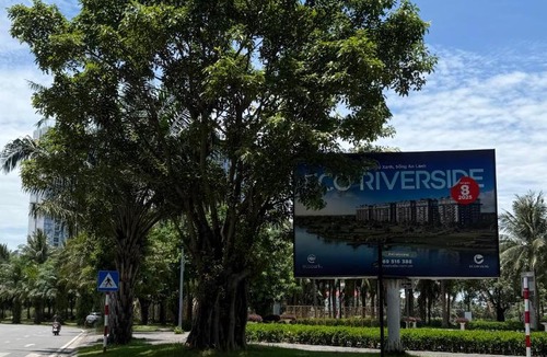 Hai Duong Apartment | Maison Joie Ecopark Lighthouse Ecorivers Hải Dương