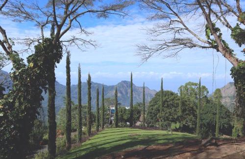 Tiworiwu Bed & Breakfast | Manulalu B&B