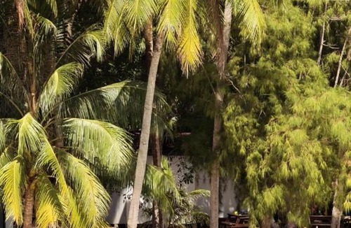 Pulau Perhentian Kecil Ski Chalet | Maya Seaview Chalet, Coral Bay Perhentian Island