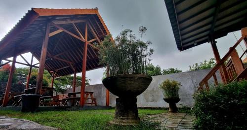 Praya House | Mayeka Transit Hostel Bandara Internasional Lombok
