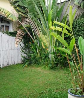 Cai Rang House | Mekong Palm House