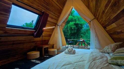 Louangphabang Hotel | Mimosa Backpackers Hostel
