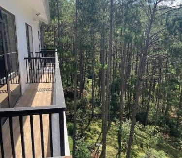 Da Lat Hotel | Mimosa Forest Hotel Villa