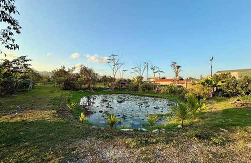 Dien Bien Apartment | Misty Garden Homestay Retreat