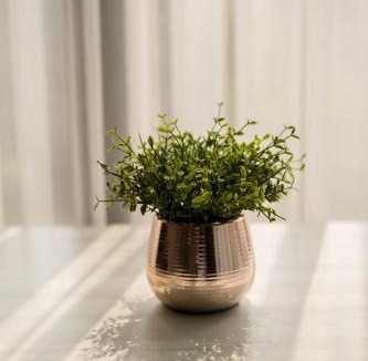 Huay Kaew Apartment | Modern Condo in Nimman P608 by Pimolplace