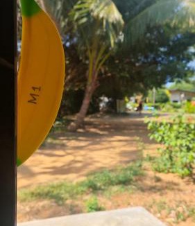 Ko Mak Resort | Monkey Island Resort Koh Mak