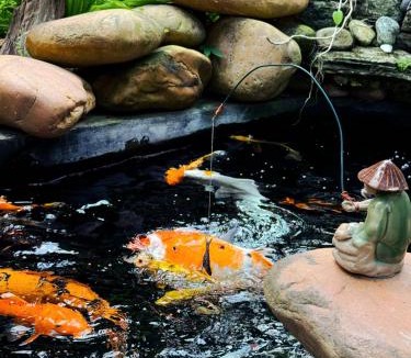 Son Tay Apartment | Moon Garden - Homestay Đường Lâm, Hà Nội