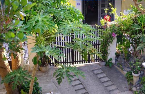 Tran Phu Beach Apartment | Moon house tropical garden - Coconut