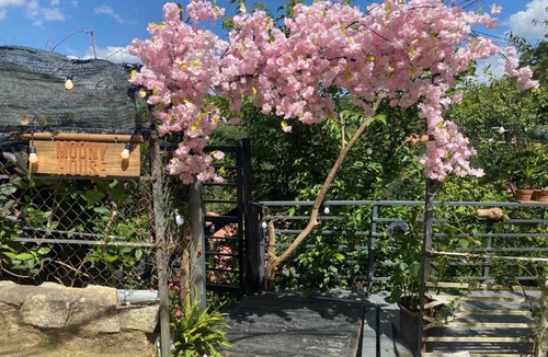 Da Lat Ski Chalet | Moony house