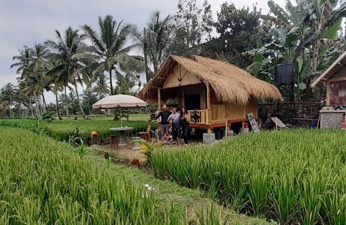 Tetebatu House | Motel ∙ 8 guests