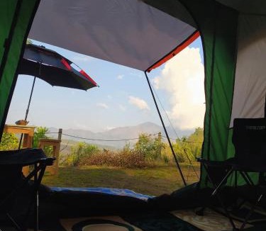 Kintamani Other | Mount Batur Sunrise Trekking Stay Package in Kintamani Adventures