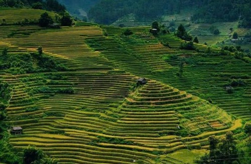 Mu Cang Chai Hotel | Mu Cang Chai Eco Home