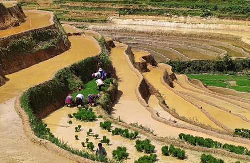 Mu Cang Chai House | Mu Cang Chai Terrace View Bungalows