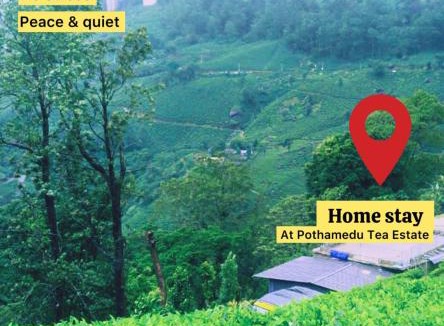 Pallivasal Villa | Munnar pothamedu 3 Bedroom mountain Cottage - hills top, 3 bed room,hall public parking, peaceful location