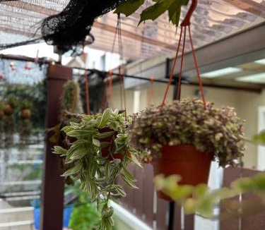 Puchong House | Mutiara Hidden-Mountain Gorgeous Garden Landed House