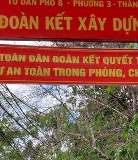 Da Lat Bed & Breakfast | My Dream hostel