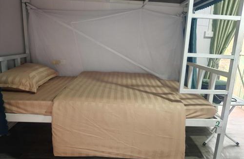 Dinh Lap Hostel | My homestay