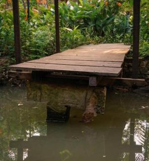 Giong Trom House | Nông Trại Thảnh Thơi