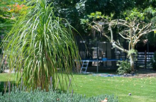 Zapopan Apartment | Natural refuge cabin in the Akron World Cup 2026 area