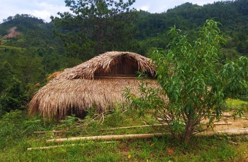Mu Cang Chai House | Nature Homestay Mù Cang Chải