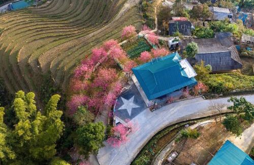Mu Cang Chai Cabin | Nest hill retreat