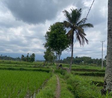 Kotaraja House | New Rinjani Homestay