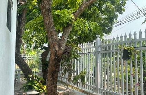 Ninh Binh Apartment | Nhà Homestay