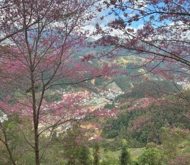 Mu Cang Chai Hotel | Nhà trên đồi - Windy Hill