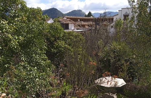 Zona Centro House | Nice Room in La Casa Del Rio Central with Terrace All Furnished
