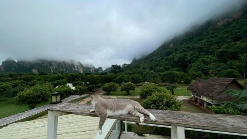 Lan Sak Resort | NUBDAO 168 Homestay นับดาว168 โฮมสเตย์