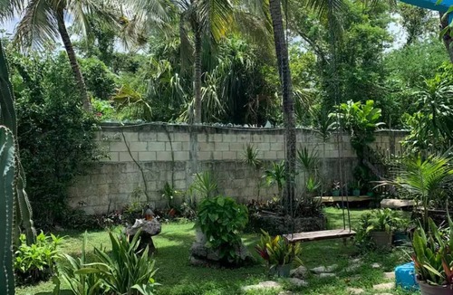 Cozumel Cabin | Oasis Garden Cottage: Starlink, swimming pool and free bicycles
