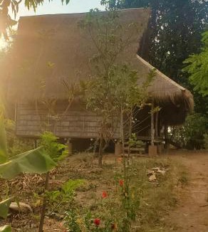 Tboung Khmum Apartment | OBT - The Banana Bungalow
