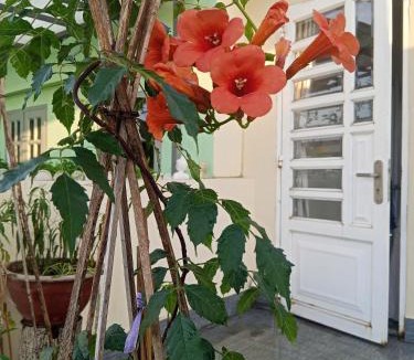 Binh Thanh House | Ola's Home