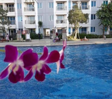 Surabaya Apartment | Orchard Tower C15 - Anderson Benson Tanglin Pakuwon Mall
