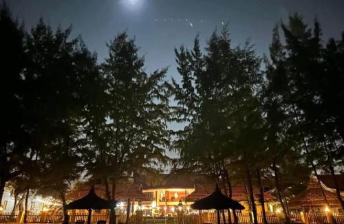 Phan Thiet Resort | Orchid Boutique Beach Resort