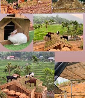 Pu Long Nature Reserve Hotel | Pù Luông Farm-Homestay & Coffee
