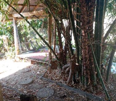 Pai Hostel | PAI STYLE RIVER House