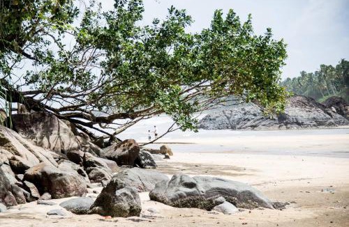 Lundu House | Pandan Beach Homestay