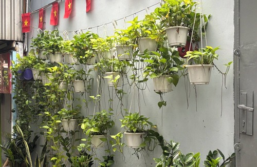Ben Thanh House | Peanuts Home Le Lai - Central, Chic Local Stay, Steps to Ben Thanh & Bui Vien