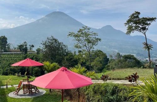 Wonosobo House | Pelataran Seroja Villas