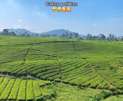 Pangalengan Other | Penginapan segitiga