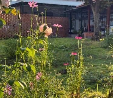Long Khanh House | Phong Tom Retreat - Pet friendly location
