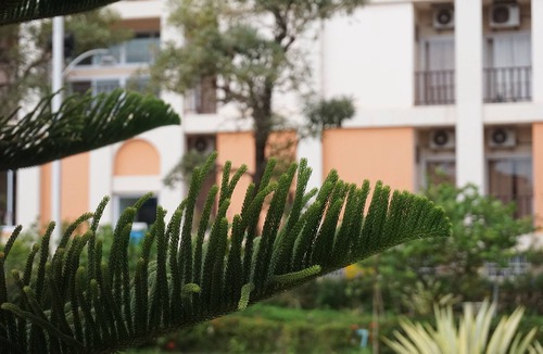 Ban Donnoun Hotel | Phounsiri Hotel