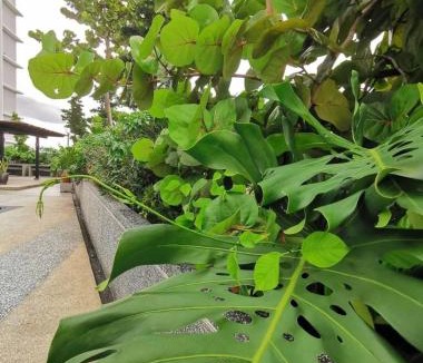 Taman Bukit Mewah House | Platino Cozy Couple Room 2 W Co-Living By STAY