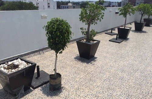Ixtapalapa Apartment | Pleasant stay in Mexico City