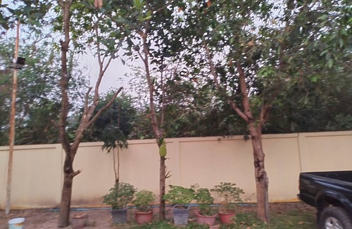 Siem Reap Villa | Private 3-bedroom Family Villa in Siem Reap 2.8 Km to Angkor Wat Pet Friendly